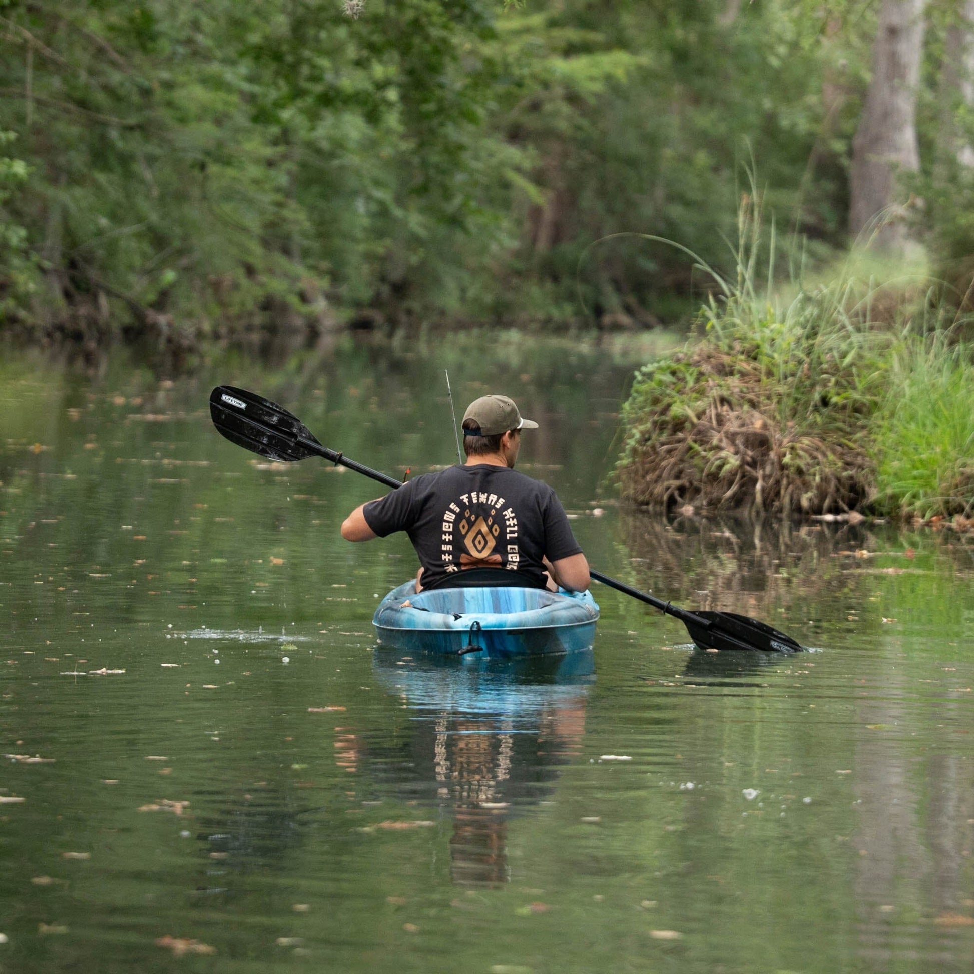 Fractal Fire Feather Grass Texas Hill Country Provisions