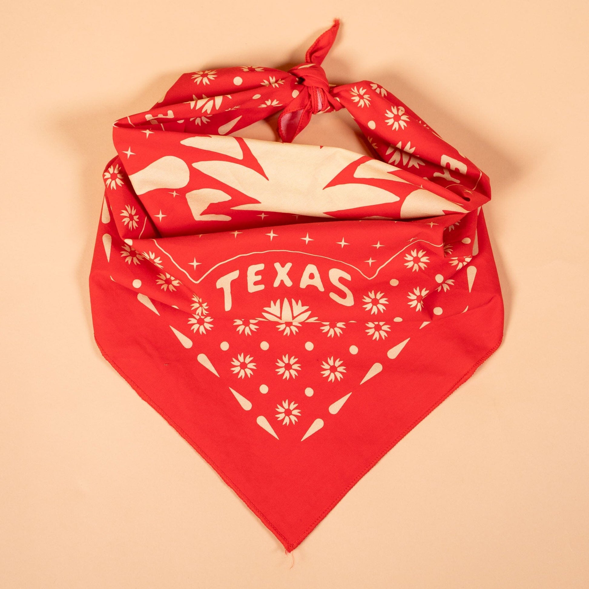 Hill Country Dillo Smuggler Bandana Texas Hill Country Provisions 